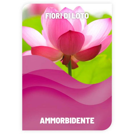 Ammorbidente Fiori di Loto alla spina 1kg LATTA DA 25 KG