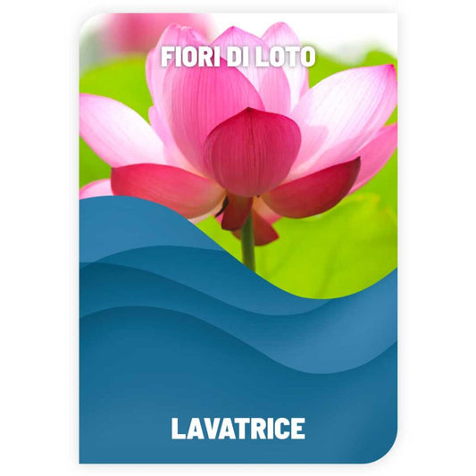 Detersivo bucato bianchi e colorati sfuso latta da 25 kg Fior di Loto